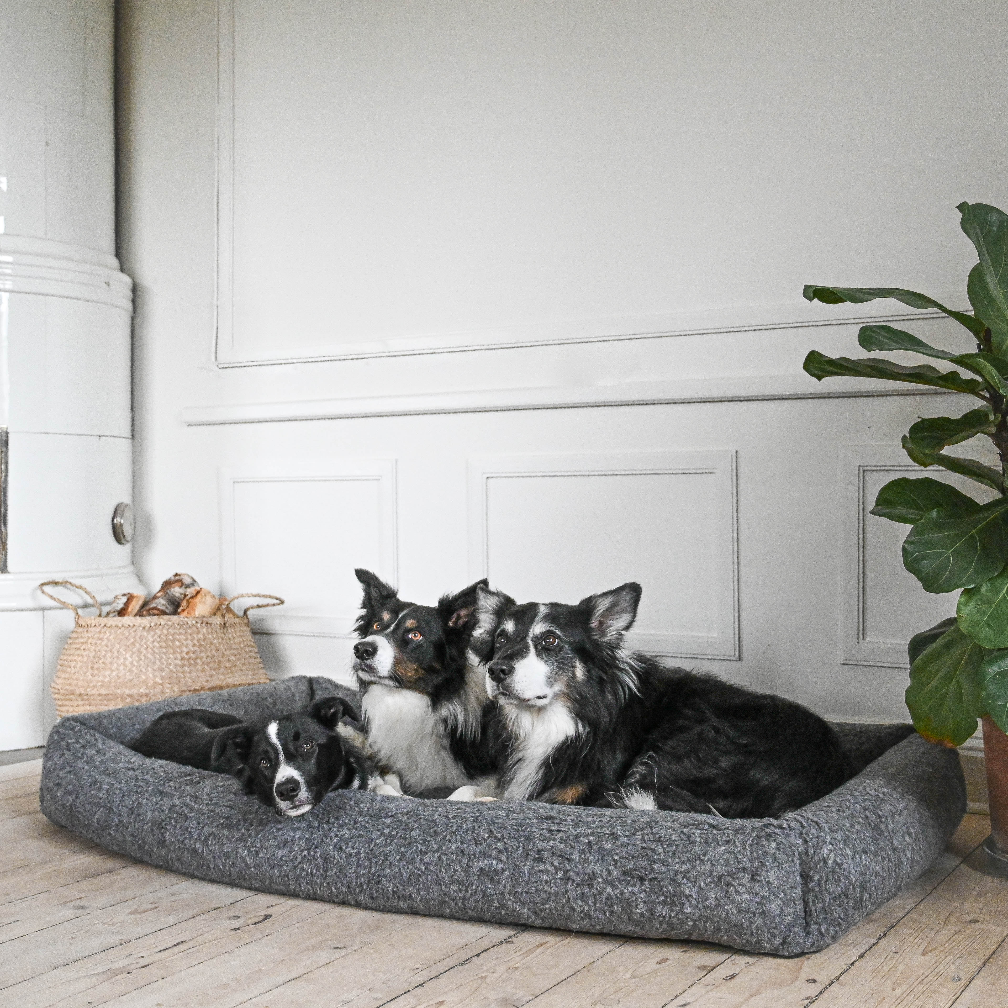 Hundb ddar HUNDLANDS hundb-ddar-hundlands