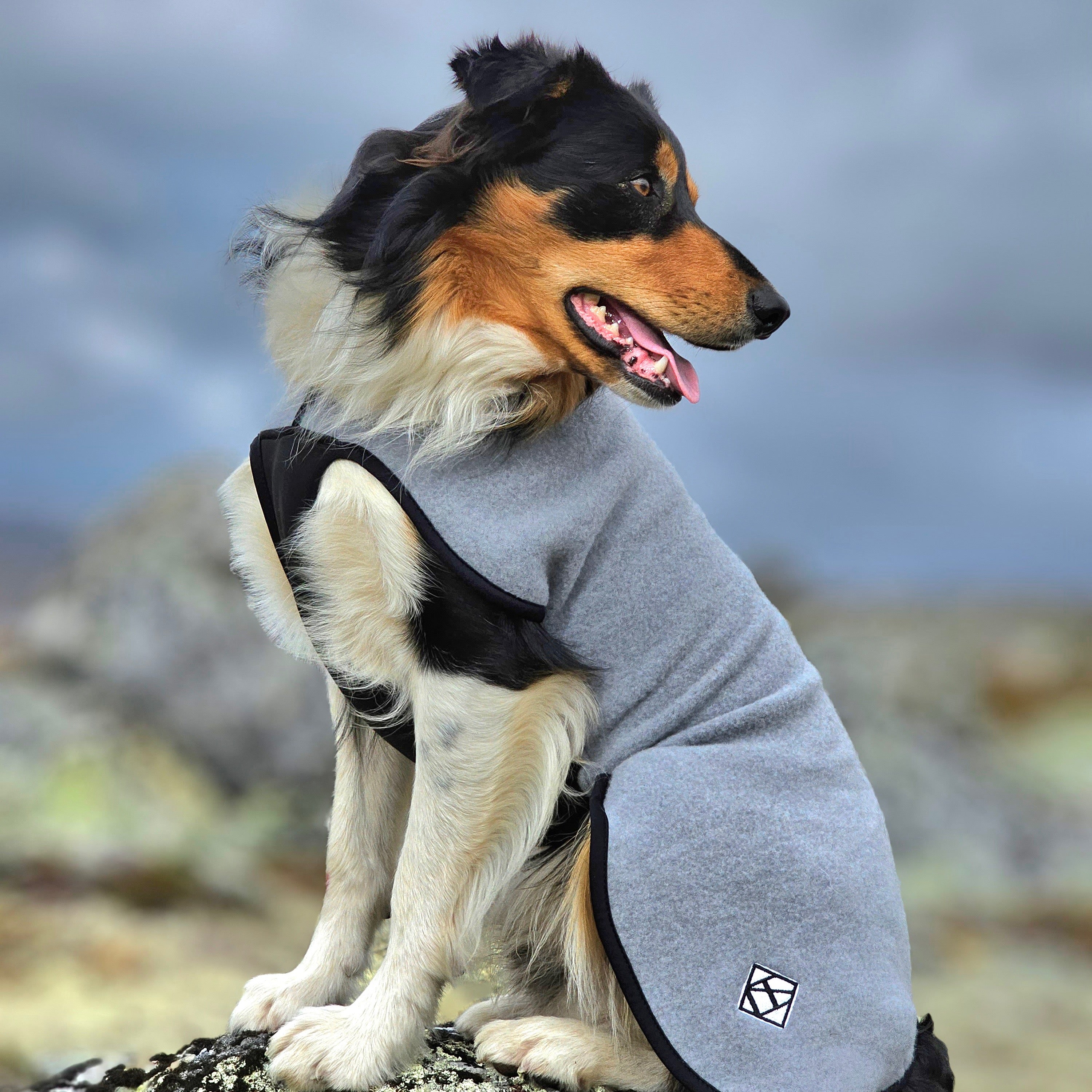 Wolldecke SPORT – HUNDLANDS - Main Image